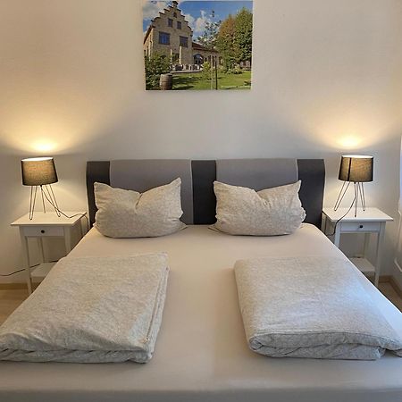 Ferienwohnung Stiegel Ingelheim am Rhein Ngoại thất bức ảnh